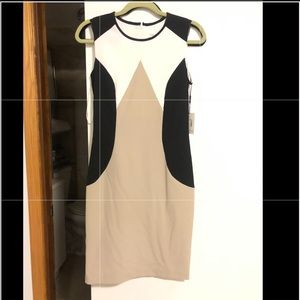 Calvin Klein Dress